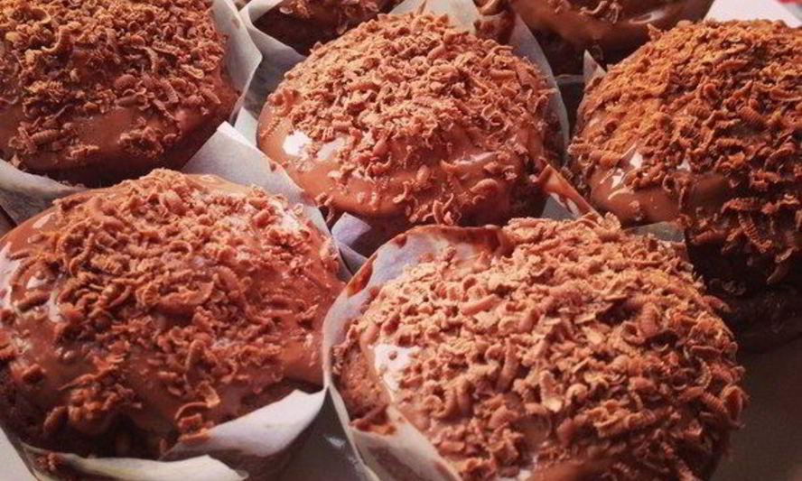 Рецепт шоколадных маффинов с шоколадной крошкой и орехами