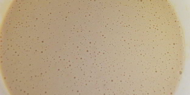 оладьи из соевой муки