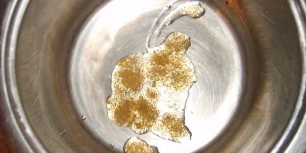 миндальное печенье день-ночь