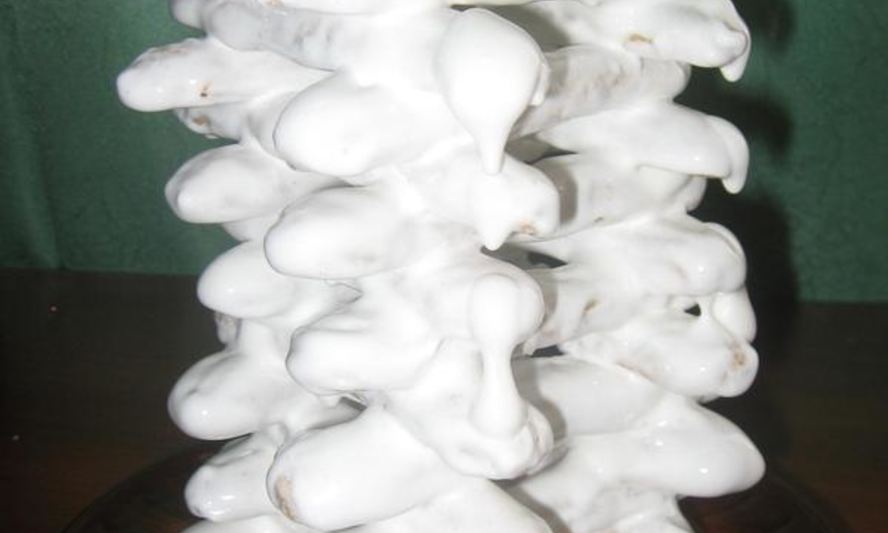 Рецепт пирога обледенелого колодец