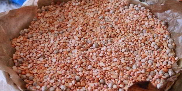 тыквенный пирог с риккотой и шоколадной глазурью