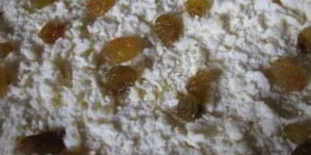 воздушный творожный пирог