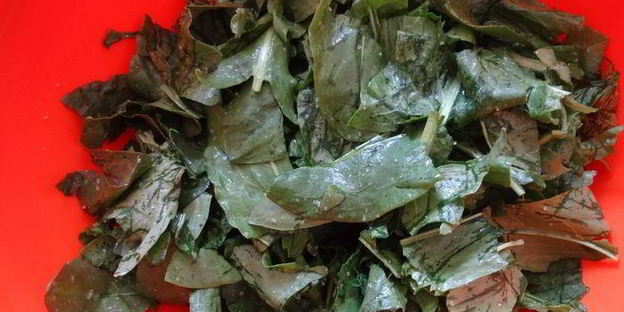 пирожки-мешочки — продолжение щавелевой темы