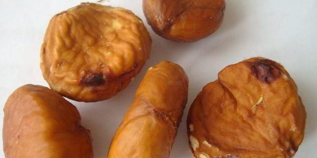 трюфельные пирожные с каштанами