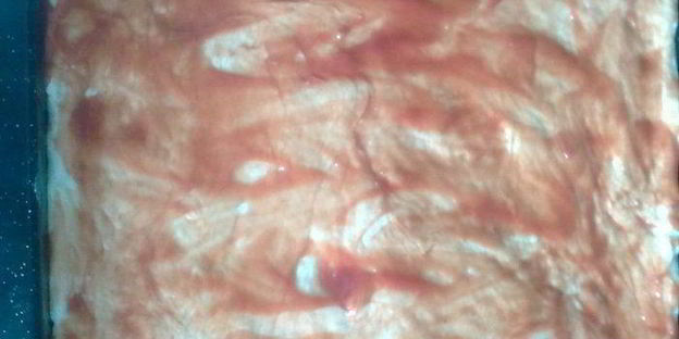 пицца быстрая домашняя