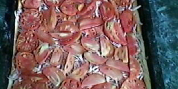 пицца быстрая домашняя