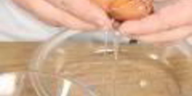 яблочные пончики