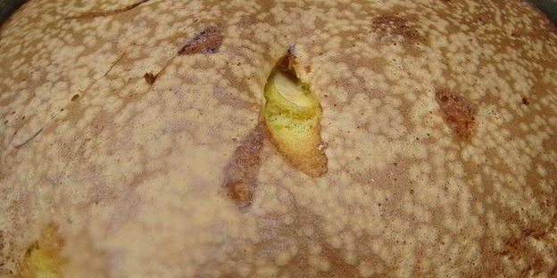 шарлотка из яблок