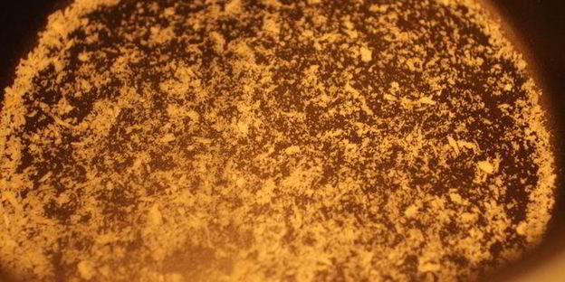 шарлотка с черной смородиной из мультиварки