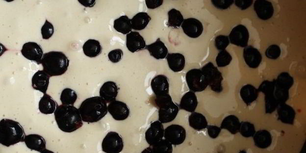 шарлотка с черной смородиной из мультиварки