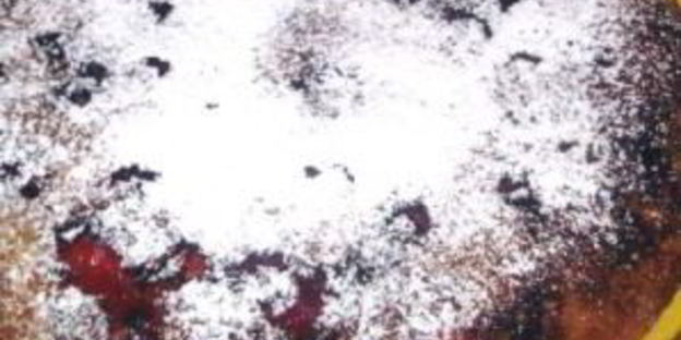 шарлотка с вишней и яблоками