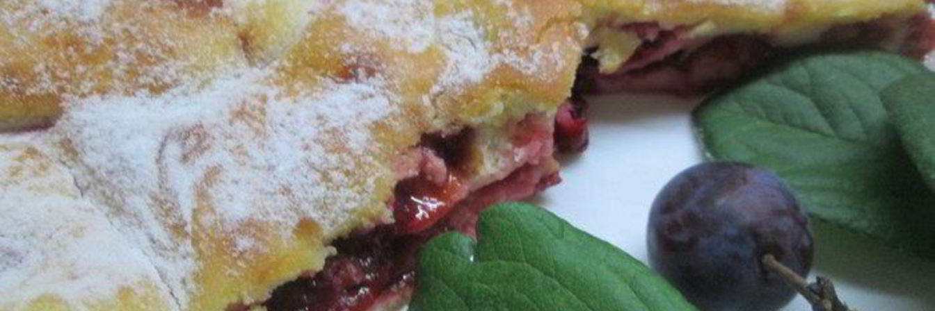 Шарлотка сметанная Слава сливам