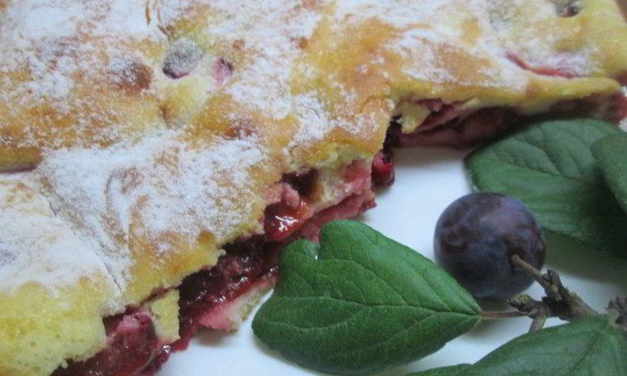 Рецепт шарлотки сметанной слава сливам