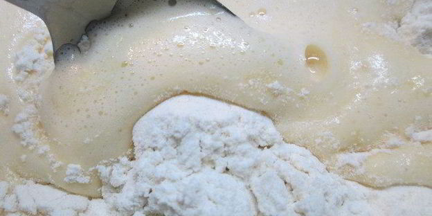 шарлотка сметанная слава сливам