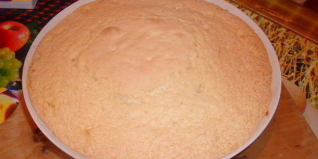 шарлотка со свежим ананасом