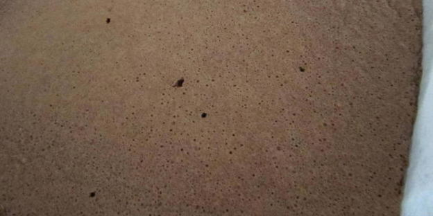 шоколадно-ореховый рулет