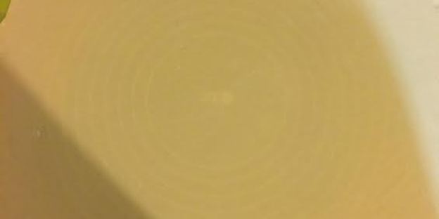 яблочный штрудель