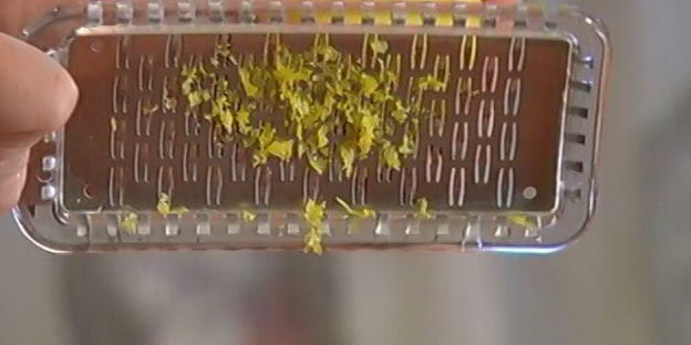 лимонные сырники с соусом из маскарпоне