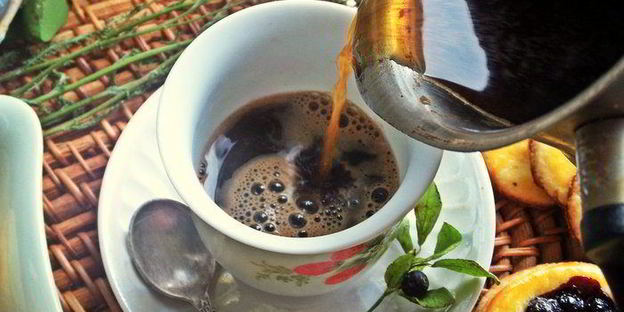 песочники с черникой