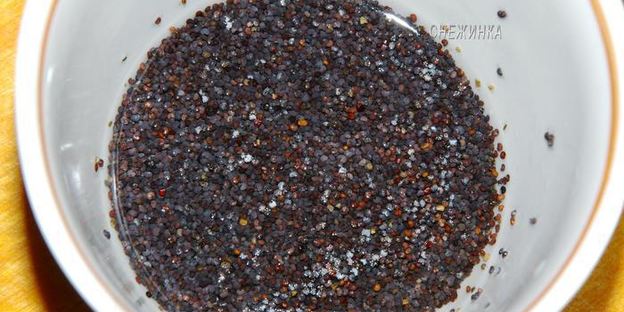 сырники с изюмом и маковым соусом по-белорусски