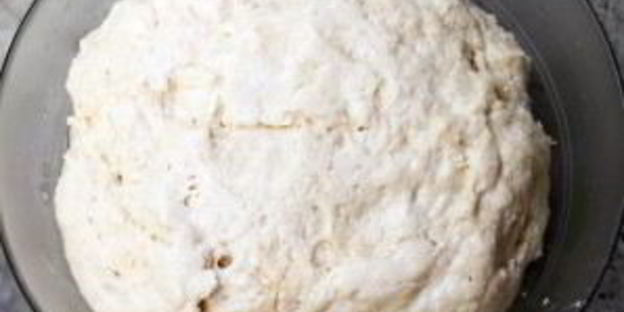 дрожжевое бисквитное тесто