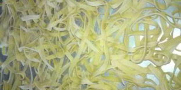 тесто для лапшерезки