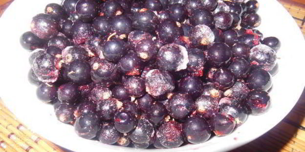 бисквитный торт мелодия