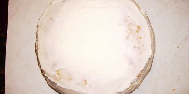 фруктовый бисквит