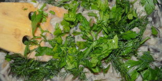 горячий наполеон с картофельно-грибным кремом