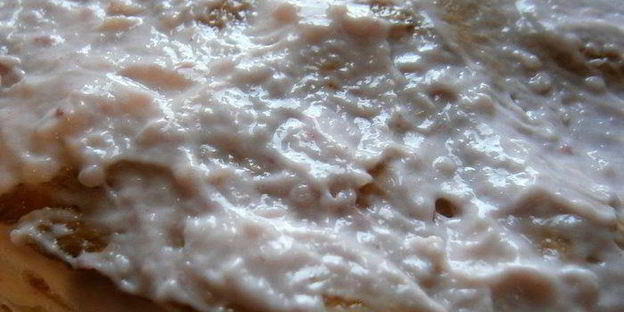 медовый торт