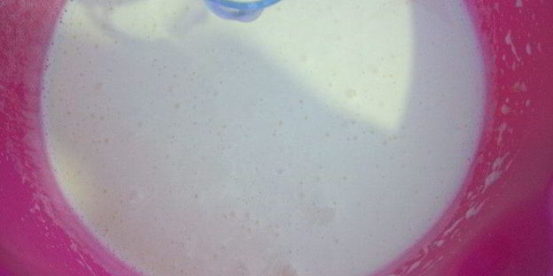 торт зебра с швейцарским меренговым кремом