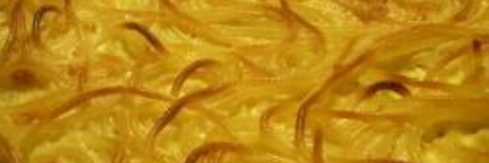 Итальянская запеканка из спагетти