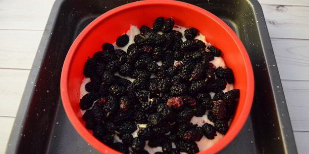 творожная запеканка с шелковицей