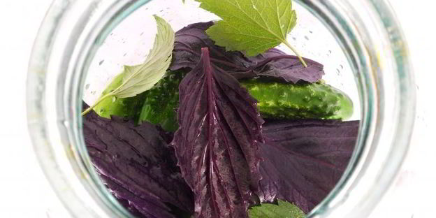 ассорти из огурцов и помидоров с базиликом на зиму