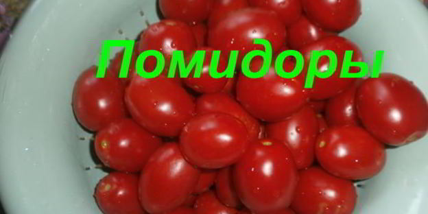 ассорти на зиму