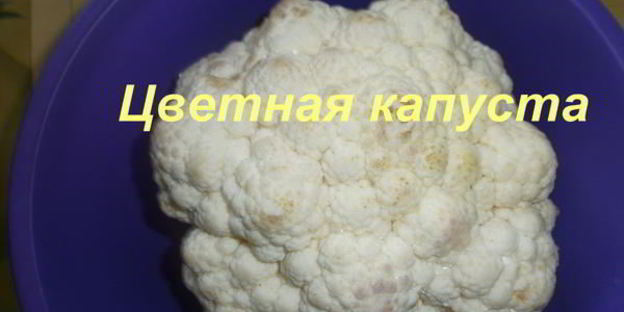 ассорти на зиму