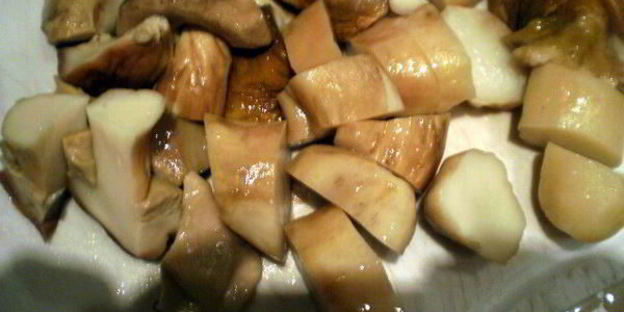 белые грибы замороженные на зиму