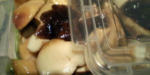 белые грибы замороженные на зиму