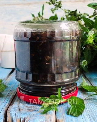 Черная смородина в собственном соку на зиму