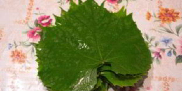 долма на зиму