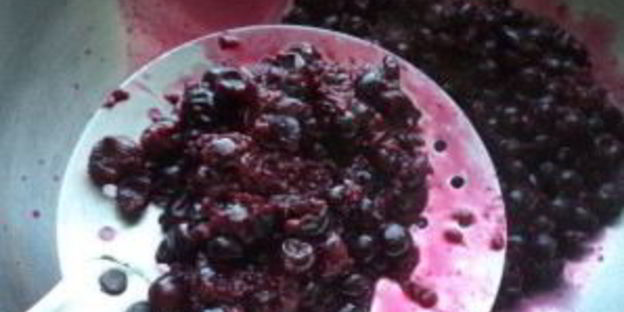 джем из черной смородины на зиму