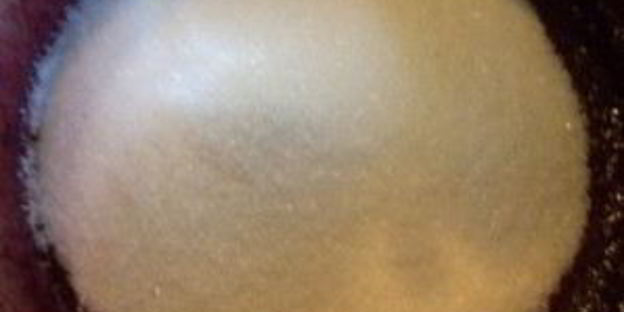 джем из черной смородины на зиму