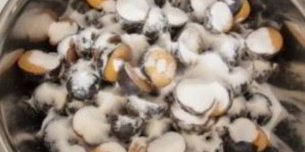 сливовый джем