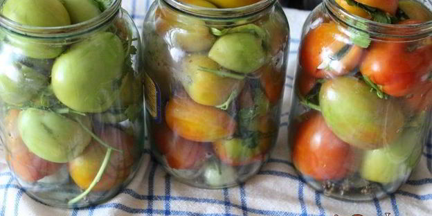 фаршированные зеленые помидоры на зиму