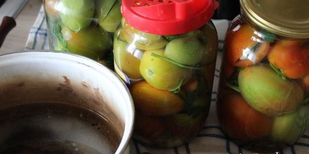 фаршированные зеленые помидоры на зиму