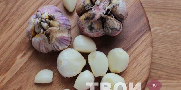 хреновина на зиму