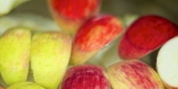 фруктово-ягодный компот