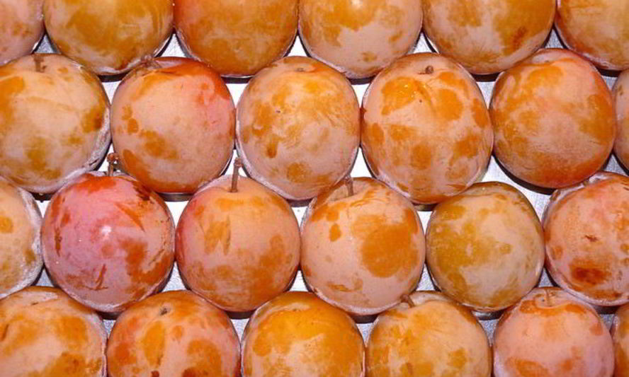 Рецепт компота из алычи на зиму