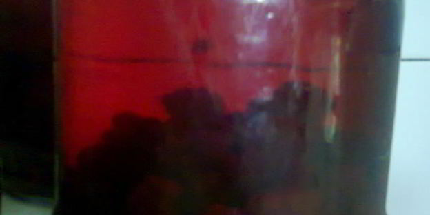 компот из ежевики