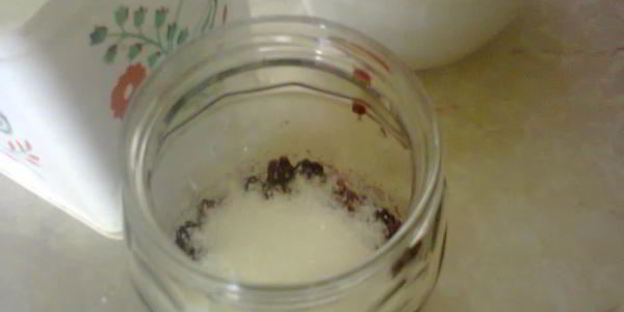 компот из ежевики